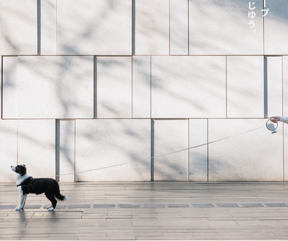 Retractable Dog Leash with LED Light - Image 3