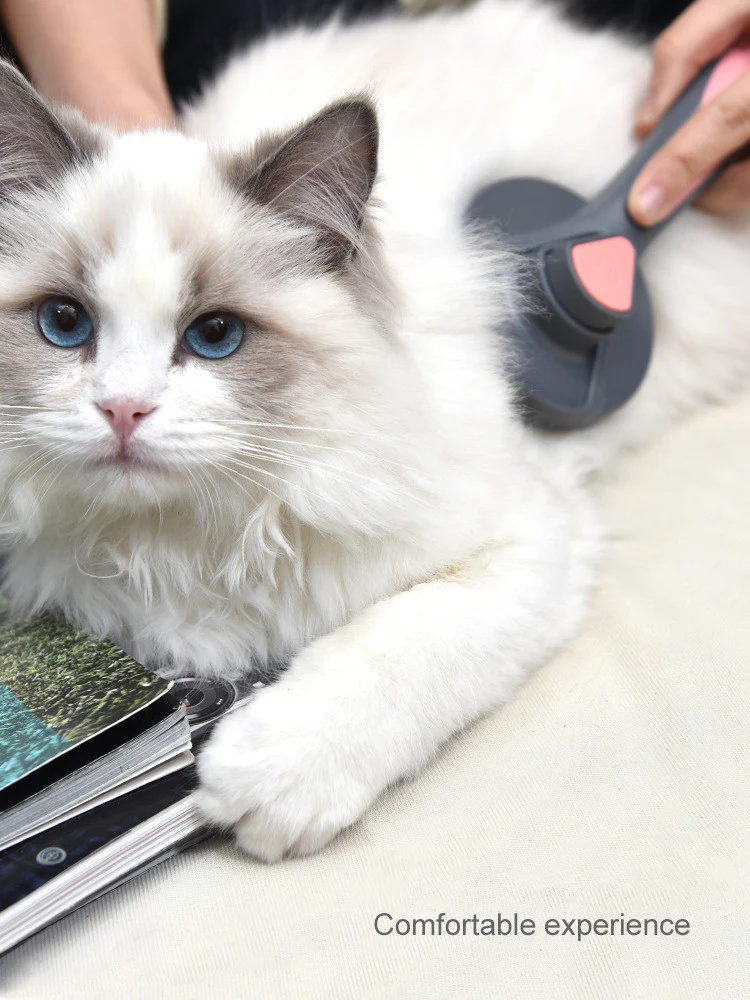 Self-Cleaning Pet Brush with Massages | Dog Slicker Brush for Grooming - Image 4