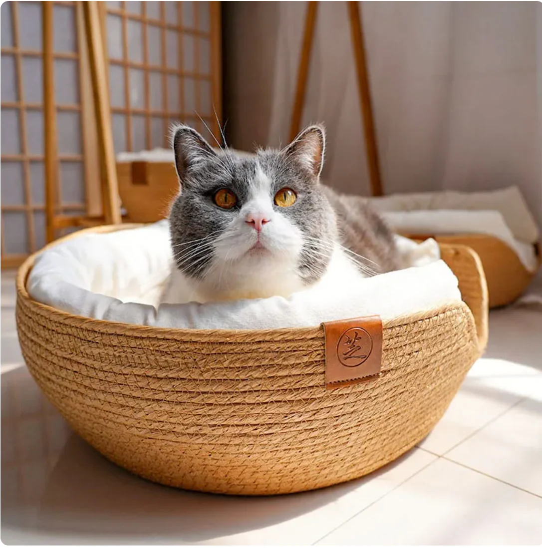 Furr & Co. Modern Oasis Cat Bed - Image 3