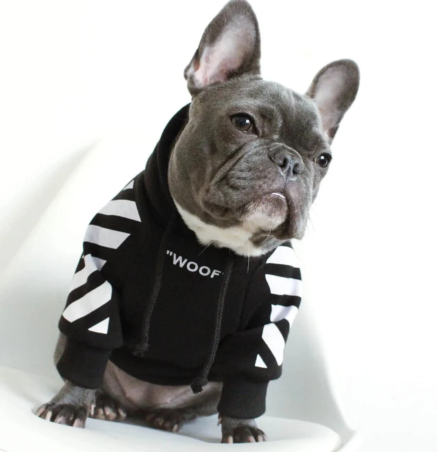 Dog Fashion Three-Stripe Dog Sweater- Winter Sports Dog Clothes - Image 3