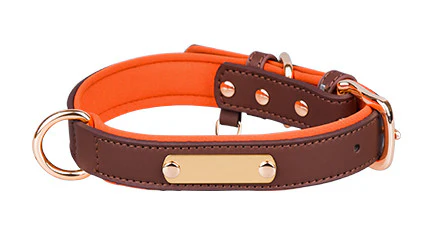 Custom Luxury Breathable Pet Dog Collar | High-Quality Training Walking Products - Image 3