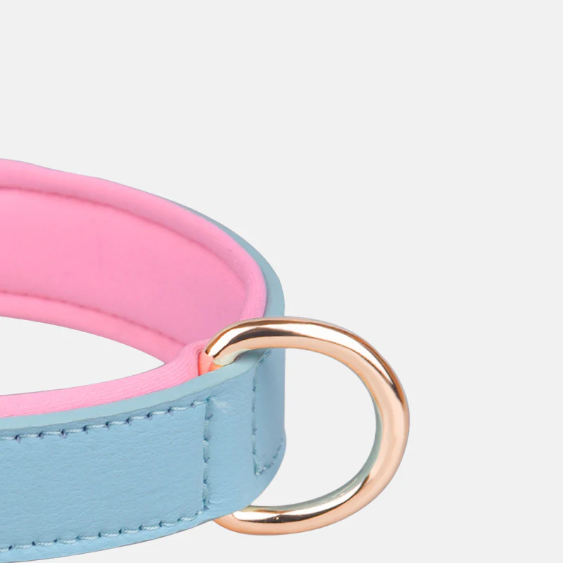 Custom Luxury Breathable Pet Dog Collar | High-Quality Training Walking Products - Image 7