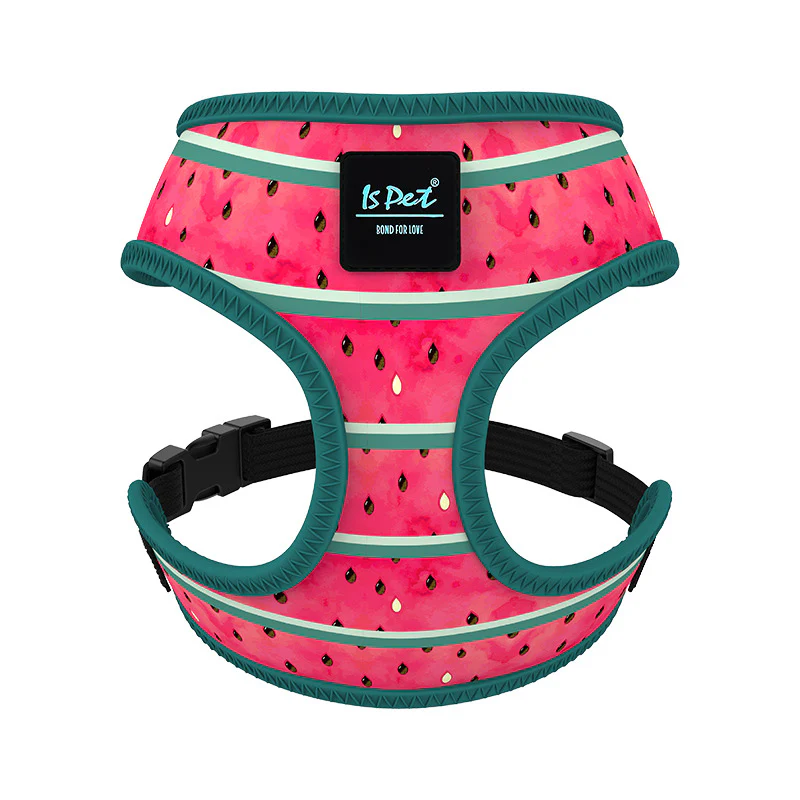 Canine Couture: Fashion Dog Harness - Image 8