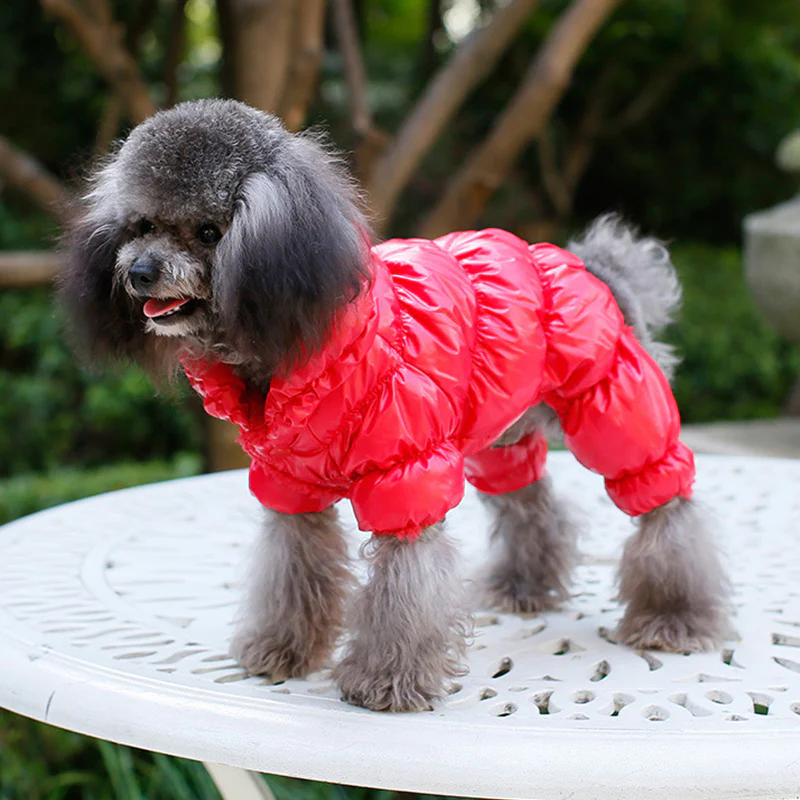 Dog Winter Padded Jacket - Windproof and Waterproof Pet Outerwear - Image 13