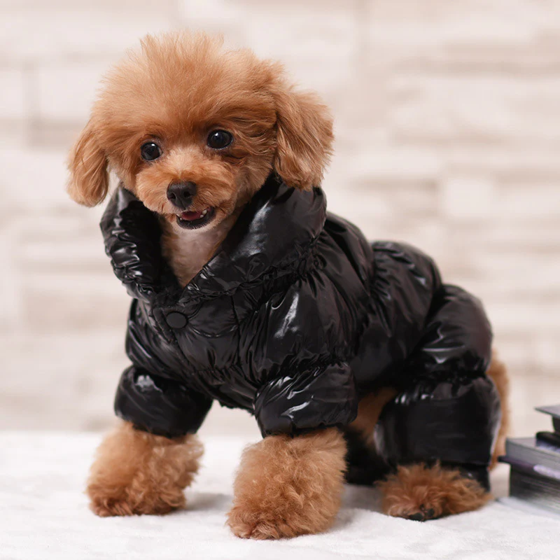 Dog Winter Padded Jacket - Windproof and Waterproof Pet Outerwear - Image 3