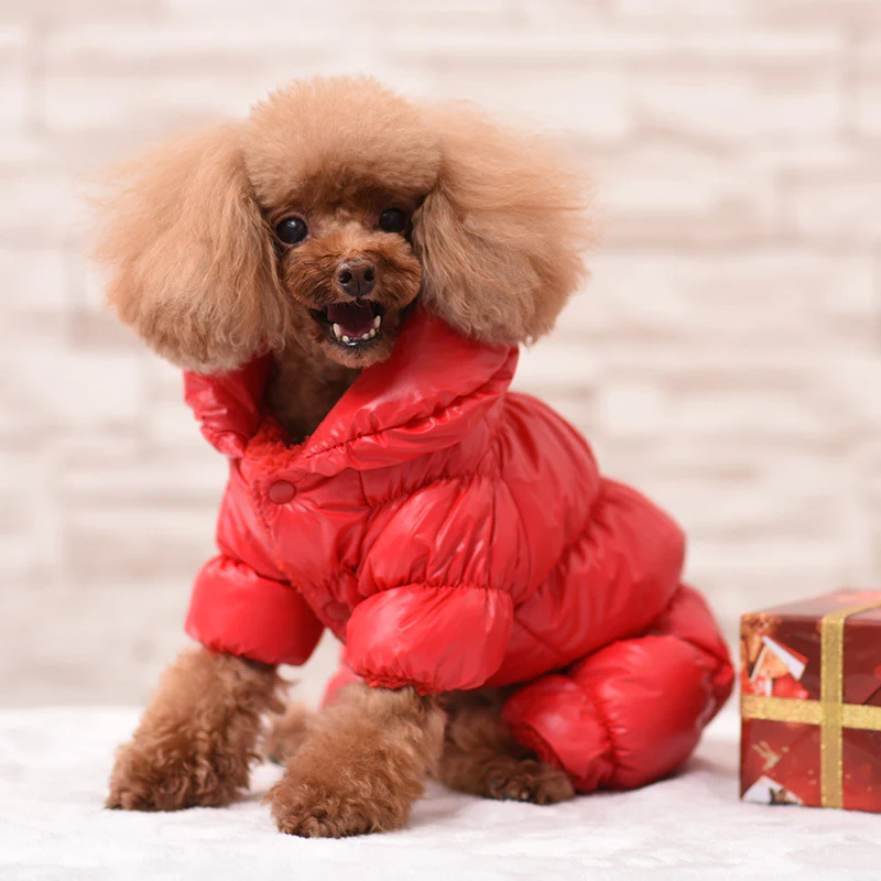 Dog Winter Padded Jacket - Windproof and Waterproof Pet Outerwear - Image 4