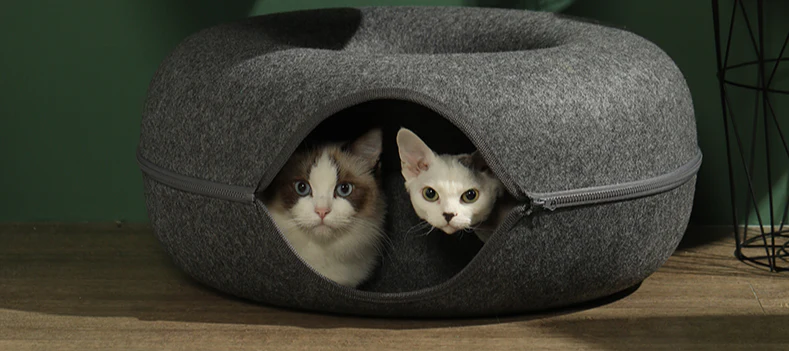 Donut Cat Bed & Tunnel: Interactive Dual-Use Toy for Indoor Cats - Image 5