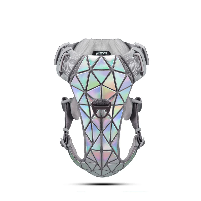 Dog Harness Luxury Shining Collar - Fashionable Pet Walking Accessories - Image 10