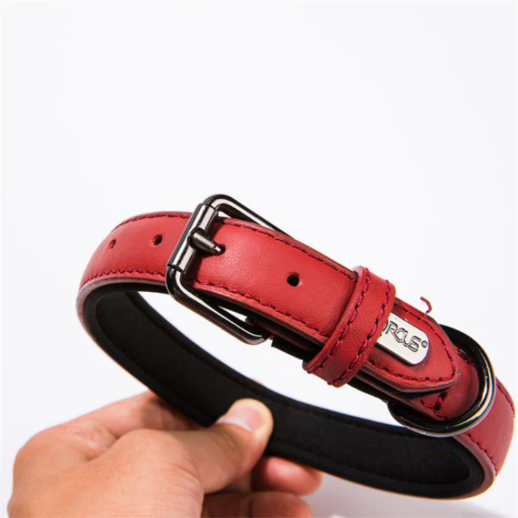 Durable Leather Dog Collar: Premium Quality, Custom Pet Collar - Image 9